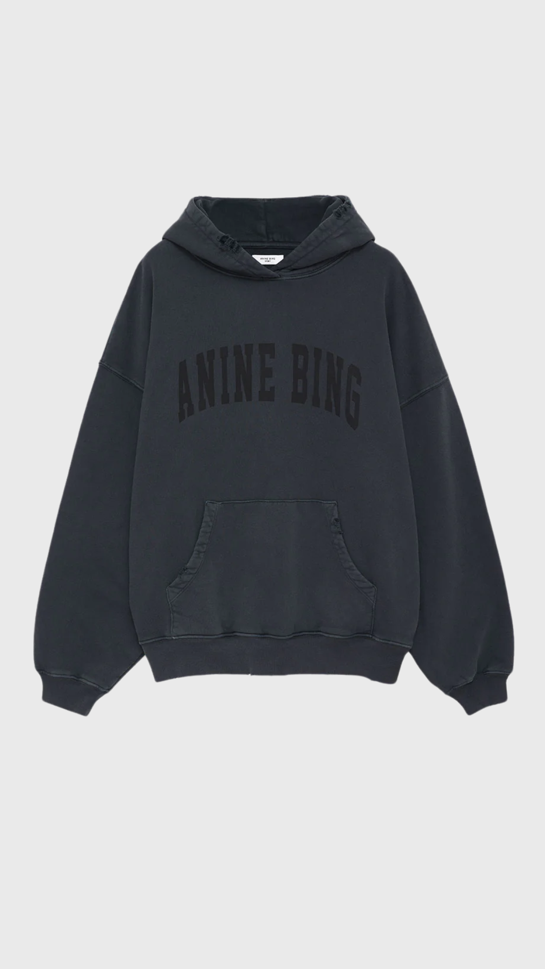 Anine Bing Harvey Sweatshirt in Washed Black