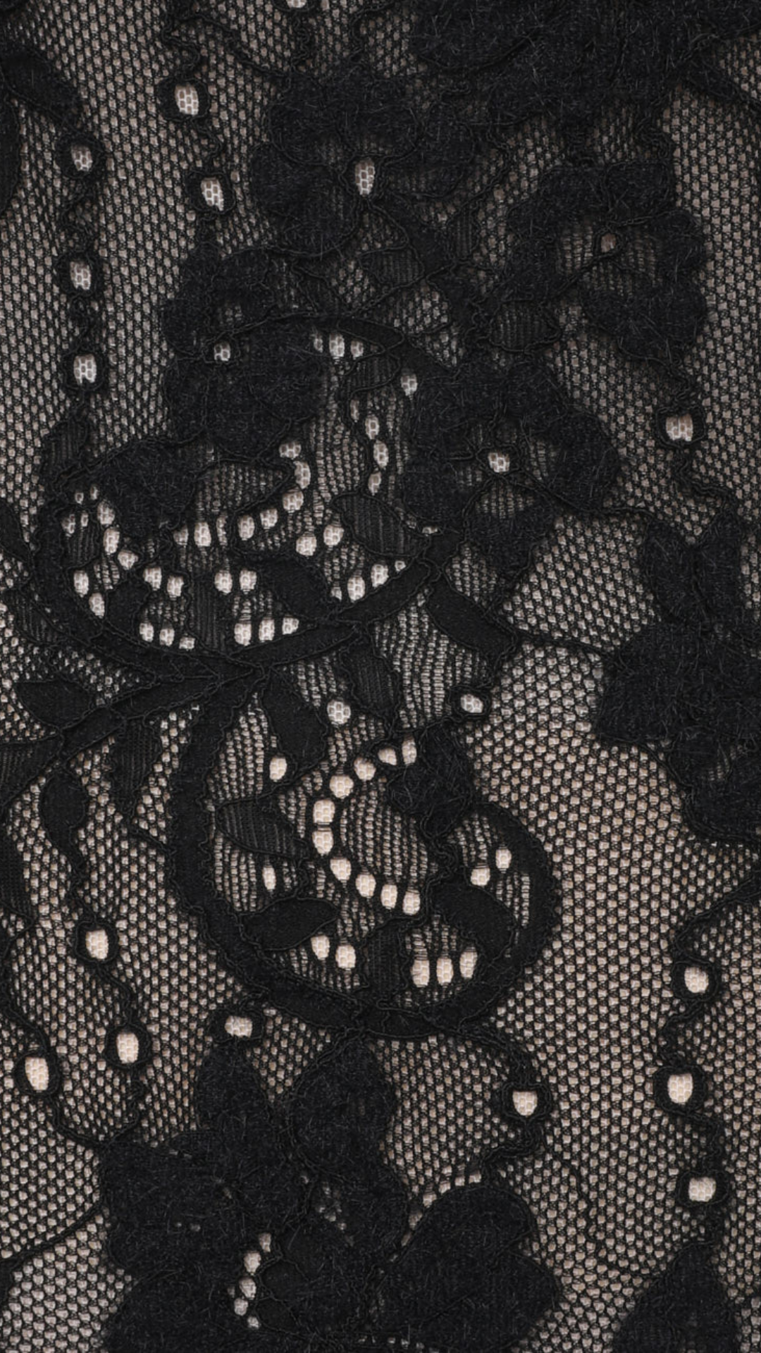 Zimmermann Lace Bodysuit in Black