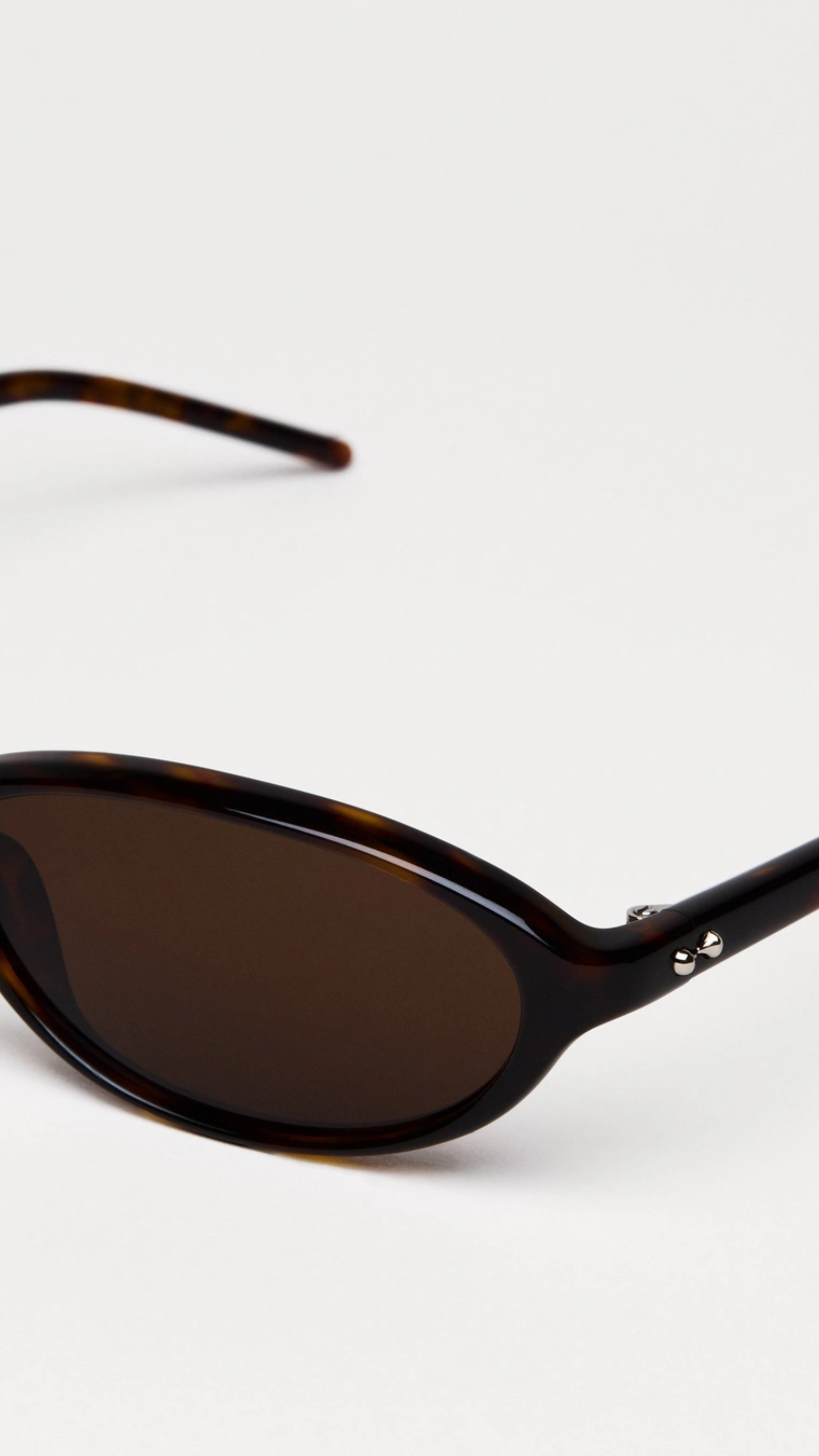 Chimi Elipse Sunglasses in Tortoise