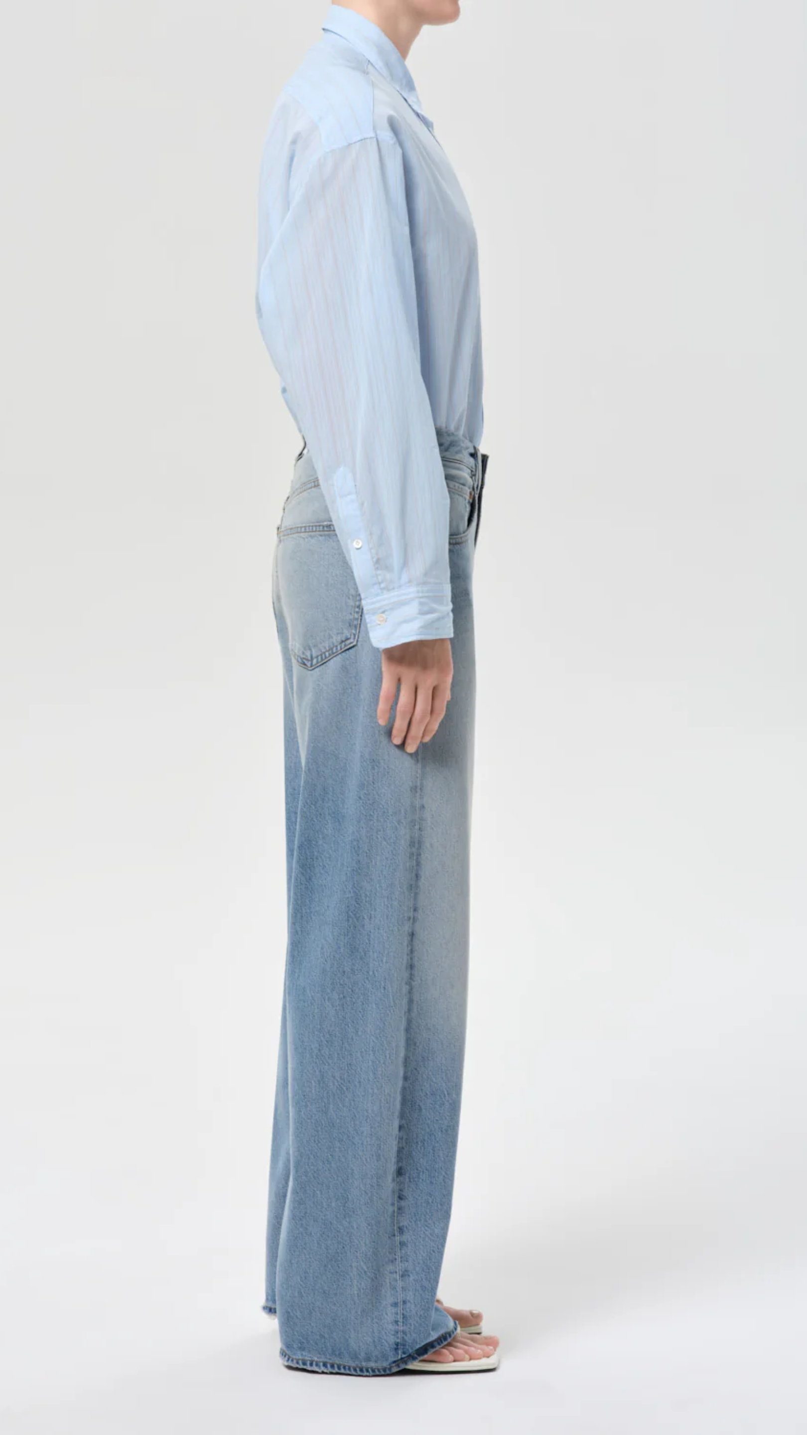 Agolde Low Curve Flyweight Jean in Reset