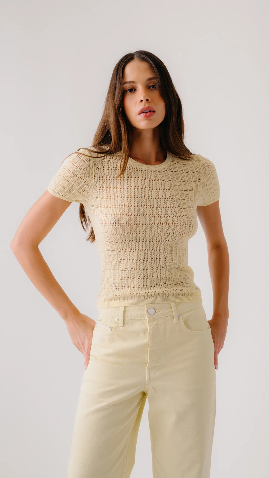 Sablyn Isolde Slim Crewneck Tee in Buttercup