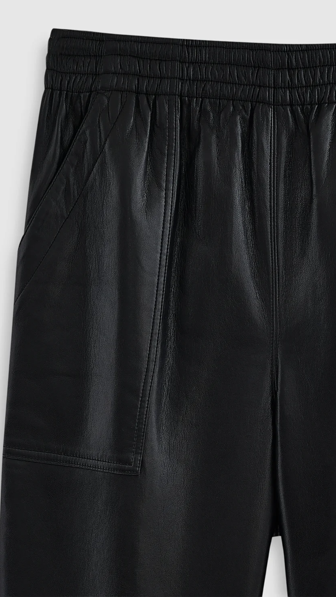 Anine Bing Billy Recycled Leather Pant in Black
