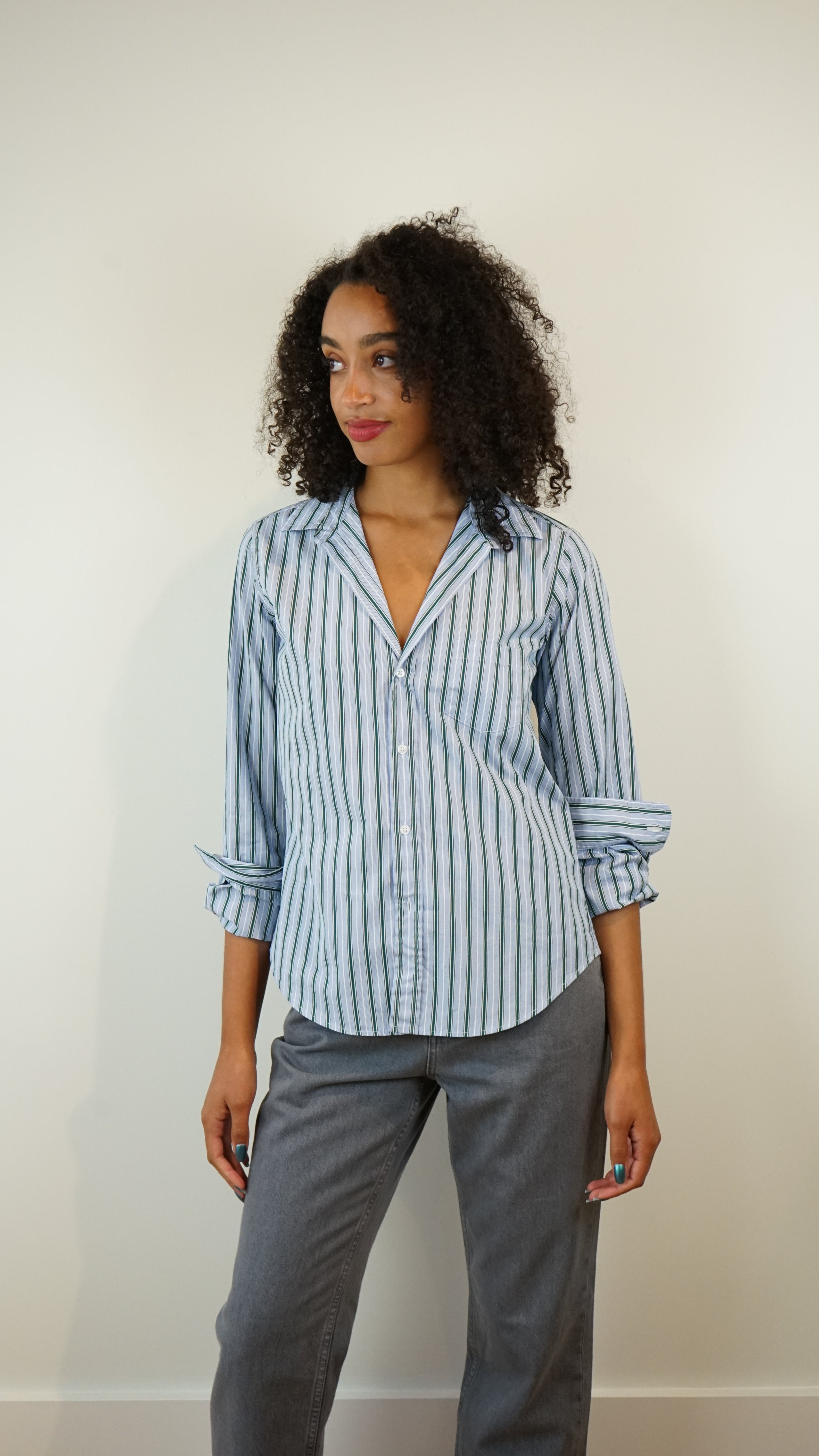 Frank & Eileen Barry Tailored Button Up Shirt