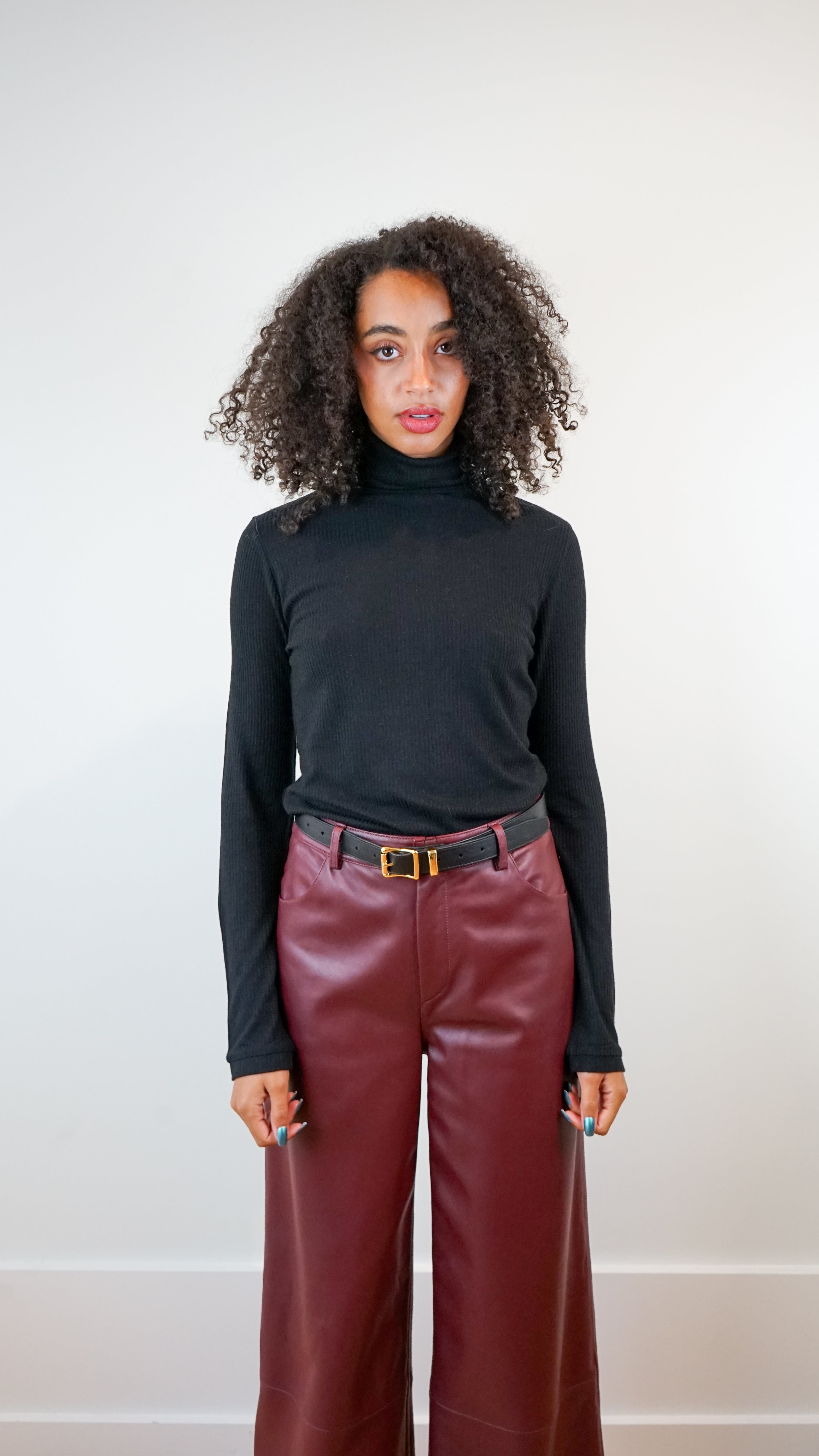 Loulou Studio Gallinara Turtleneck Top