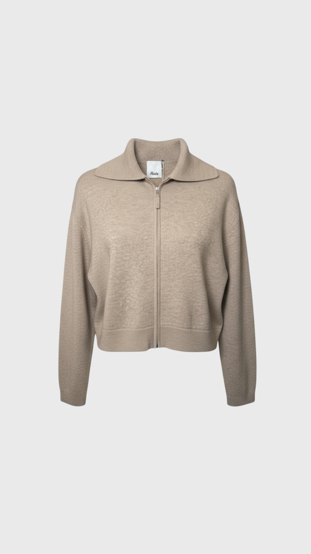 Allude Collar Jacket in Mushroom