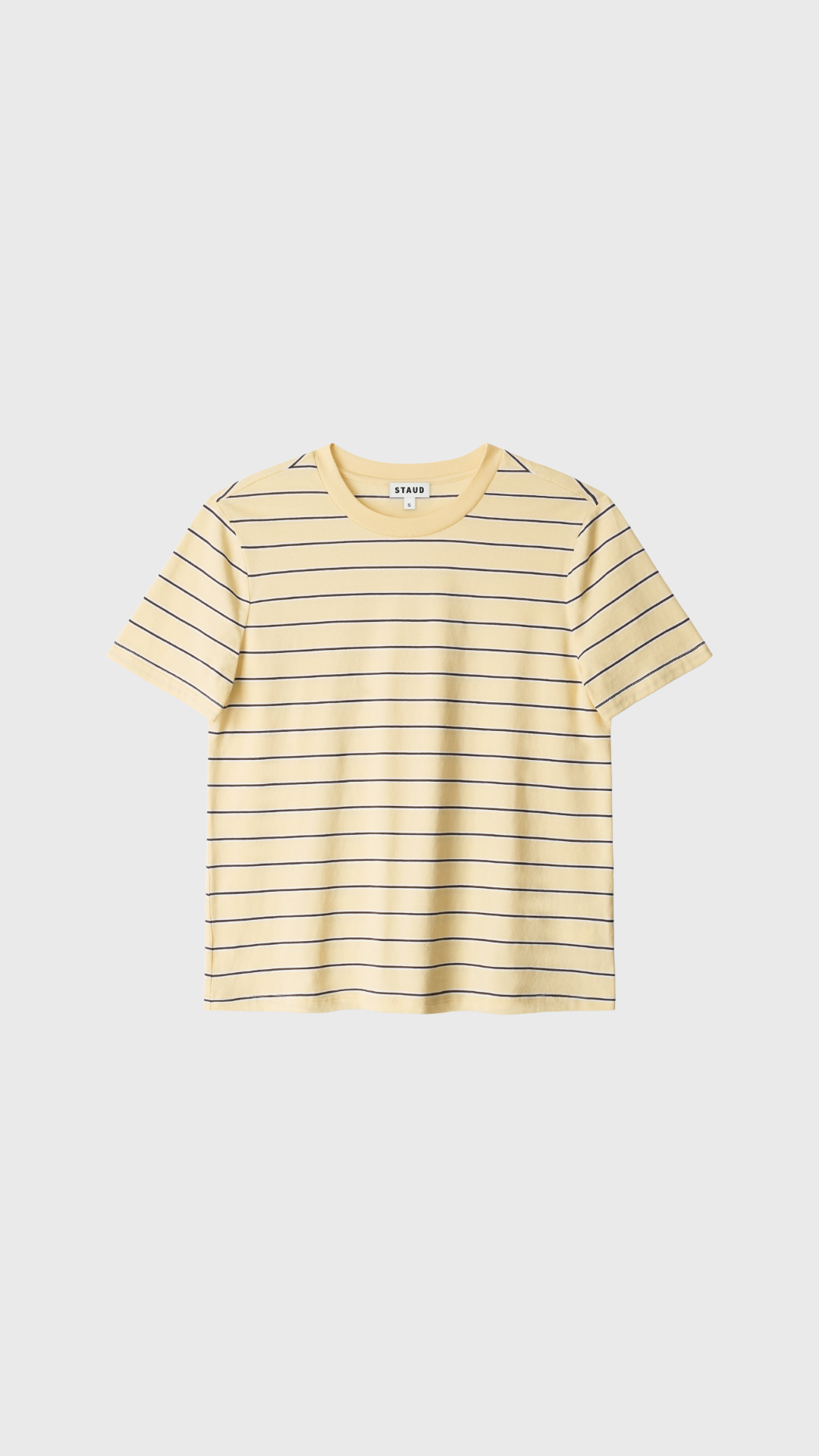 Staud Classic Crew T-Shirt in Monday Stripe