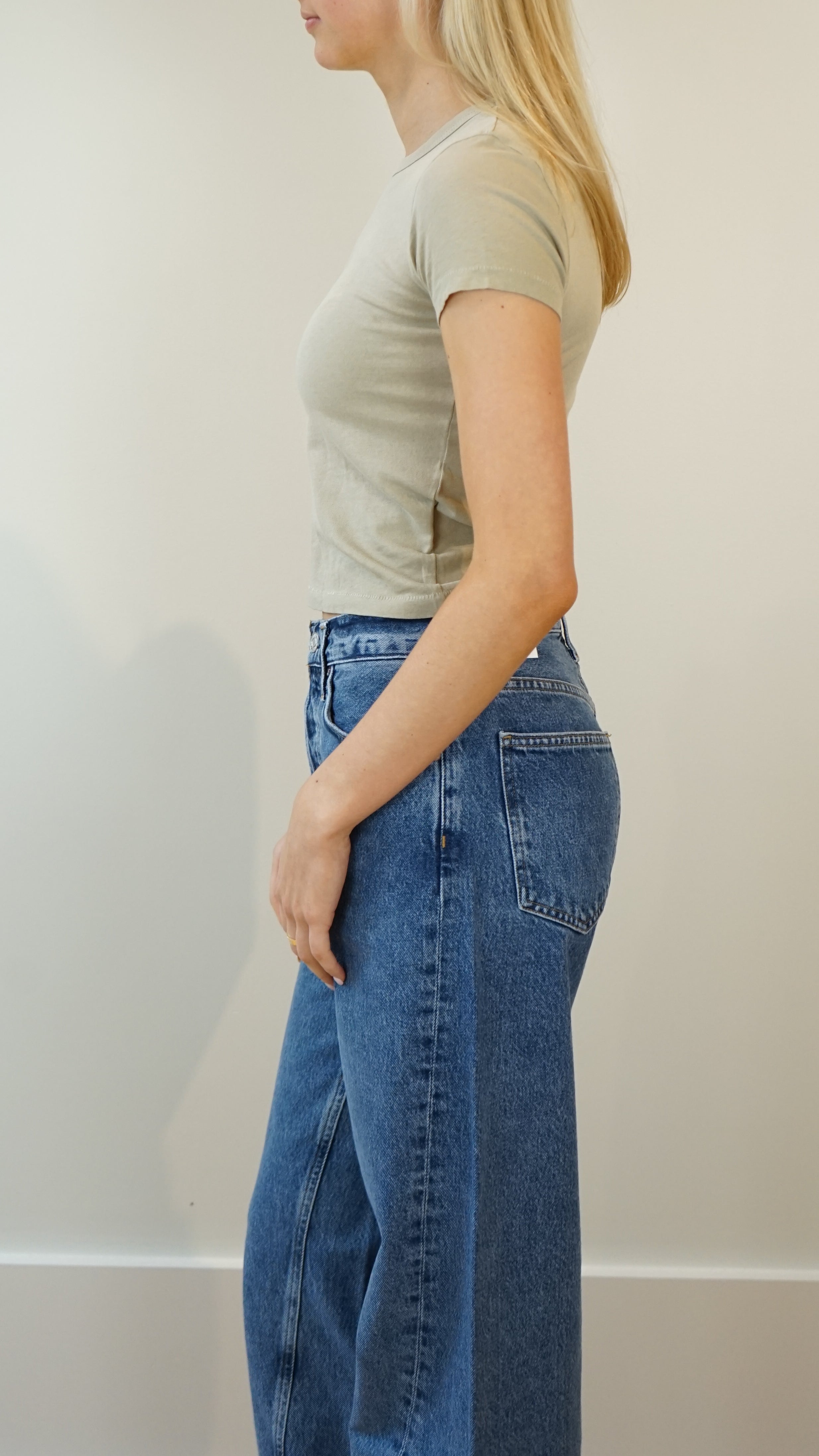 SLVRLAKE Baby Tee in Dusty Trail